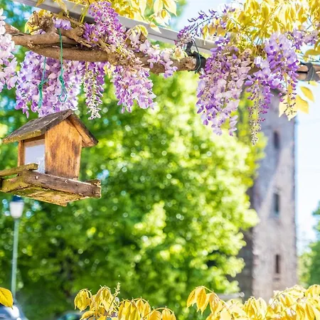 Les Tilleuls * Wissembourg