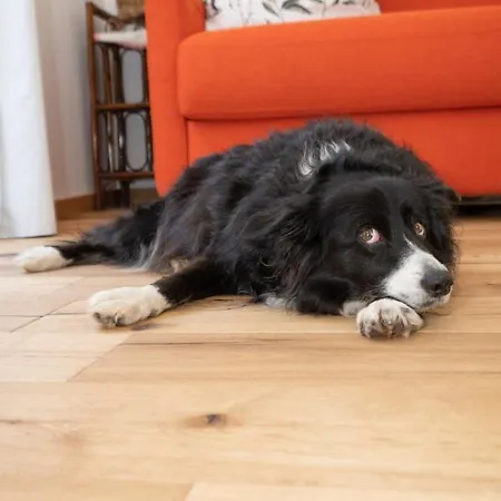 Les Tilleuls Ferienhaus *